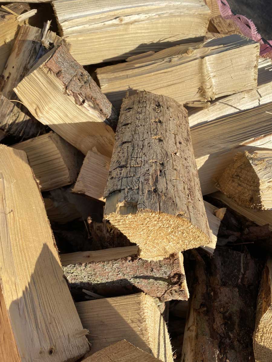 Měkké dřevo